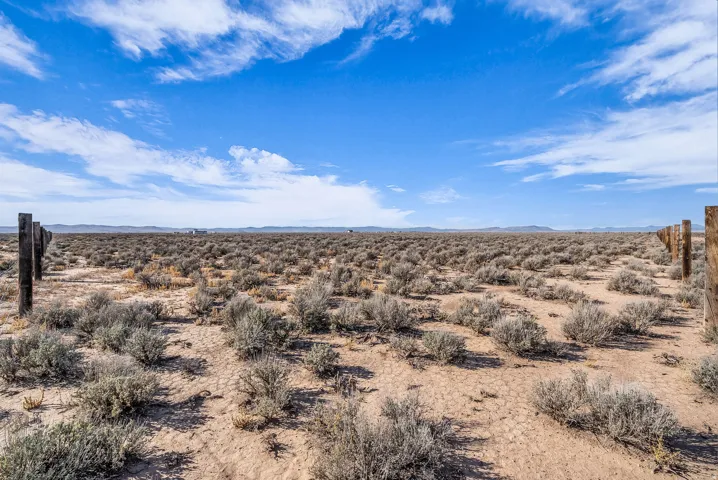 View of mountain backdrop with a desert landscape