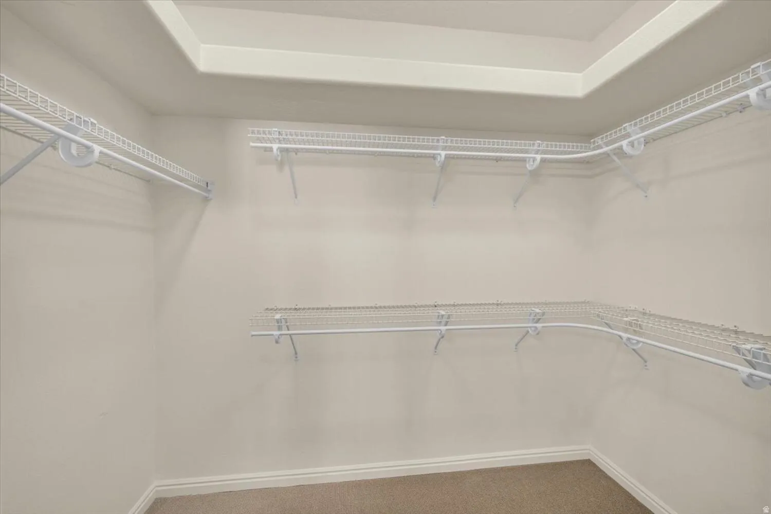 Walk in closet with carpet floors