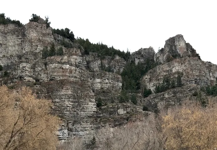 View of undeveloped land