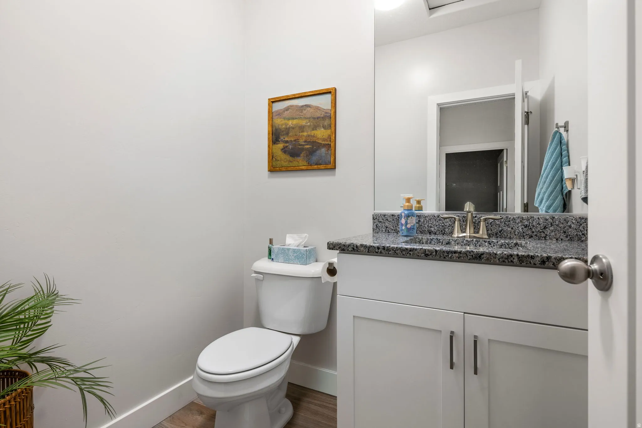 Bathroom featuring vanity and dark wood-style floors