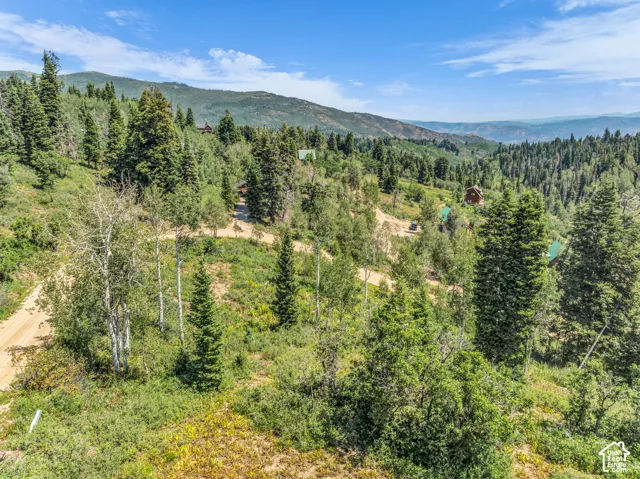 Wooded landscape featuring diverse tree species, sloped terrain, and distant mountain ranges
