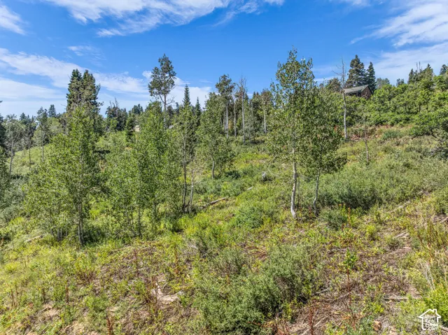 Rolling terrain featuring abundant natural vegetation and a distant structure nestled within the trees