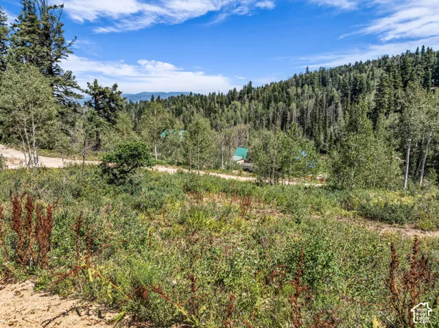 Lush, natural landscaping with mature trees and expansive open space