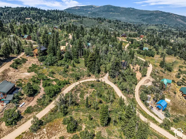Lush hillside setting with extensive tree coverage and multiple dwellings