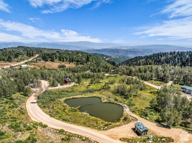 Expansive natural landscape featuring a pond, dirt roads, and scattered residential structures amidst dense trees