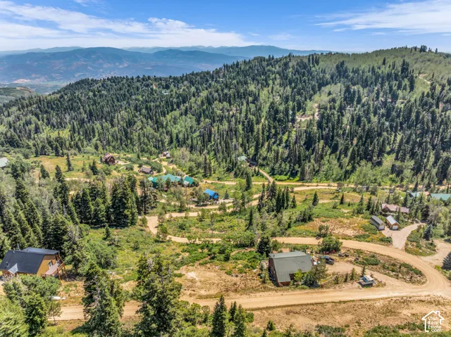Mountainous terrain with natural landscaping, surrounded by dense evergreen and deciduous trees, featuring multiple residential structures
