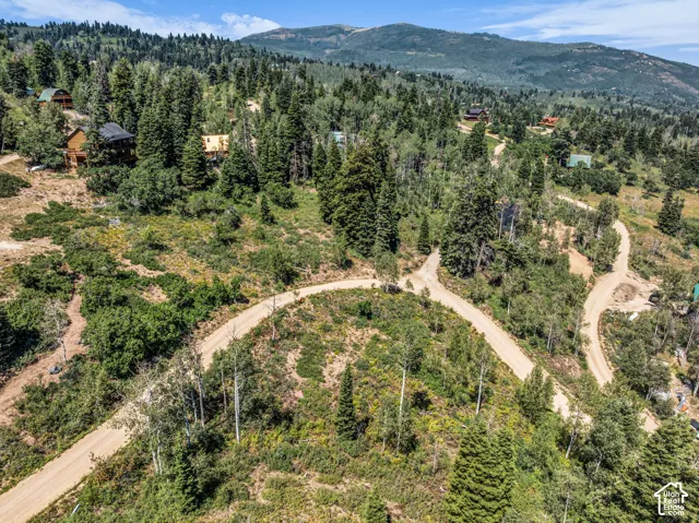 Mountainous terrain with natural vegetation, mature evergreen trees, and unpaved roads