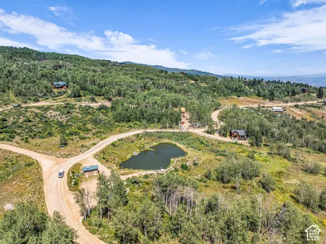 Expansive wooded acreage featuring a tranquil pond, scattered cabins, and unpaved roadways