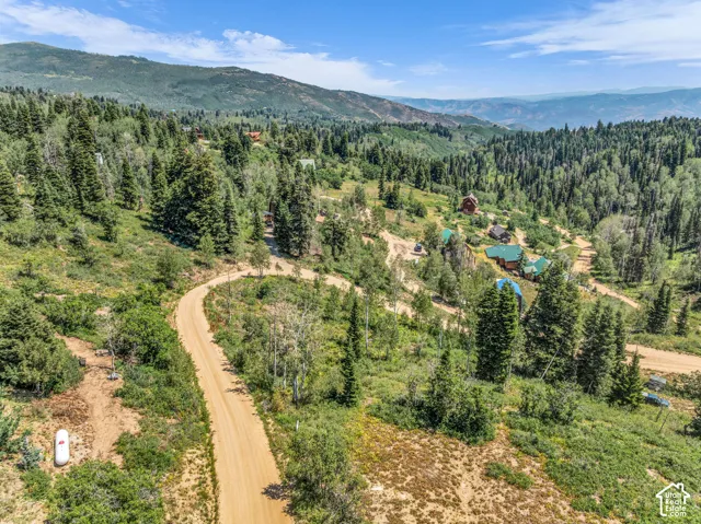 Expansive property featuring a winding dirt road, dense evergreen trees, and distant mountain ranges