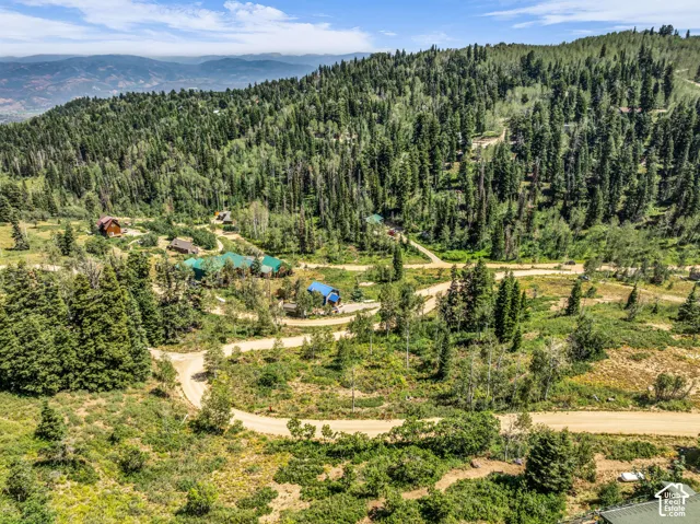 Expansive treed landscape with multiple structures and unpaved roads, set against a mountainous backdrop
