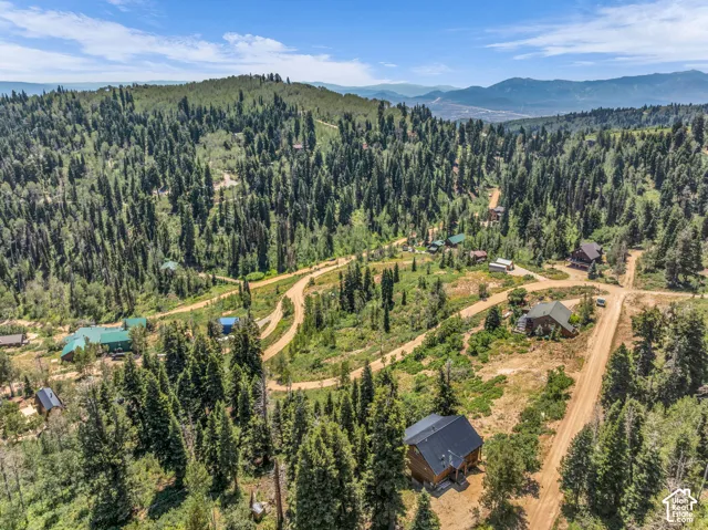 Expansive wooded landscape with multiple dwellings and unpaved roadways