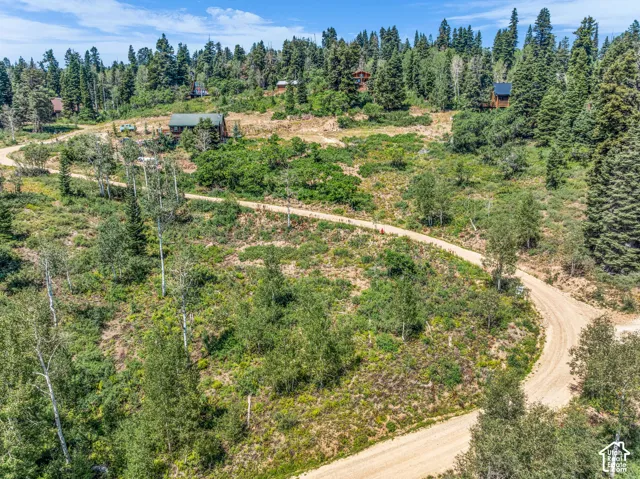Wooded hillside property with established dirt roads and diverse tree species