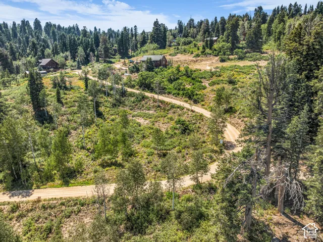 Expansive wooded landscape with a winding dirt road and multiple structures
