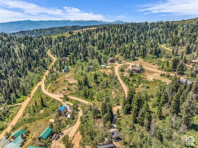Expansive treed landscape with multiple building sites, unpaved roads, and distant mountain ranges
