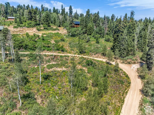 Wooded mountain landscape featuring a winding dirt road and scattered cabins