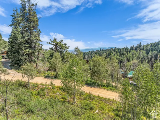 Expansive natural landscape with mature trees and a clear blue sky