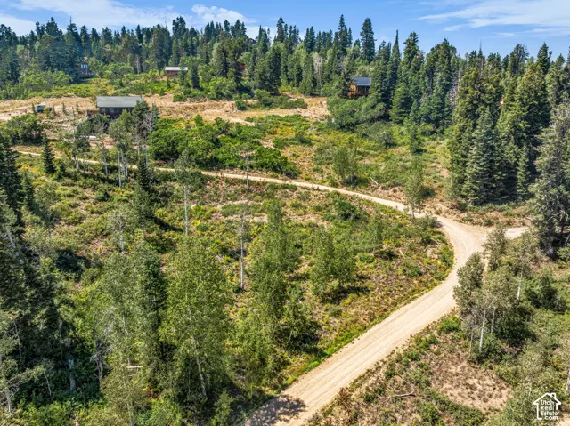 Winding unpaved road through a wooded landscape with scattered clearings