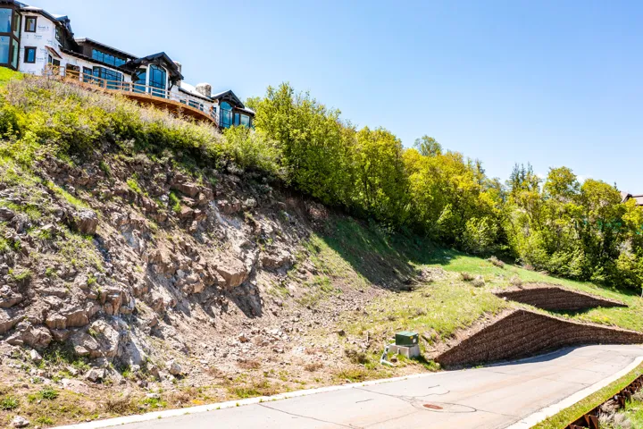 Sloped terrain with established trees and retaining walls