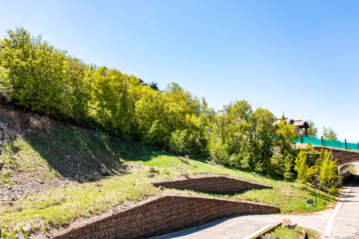Hillside property featuring green landscaping and mature trees