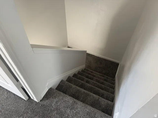 Carpeted staircase with light gray walls and white trim