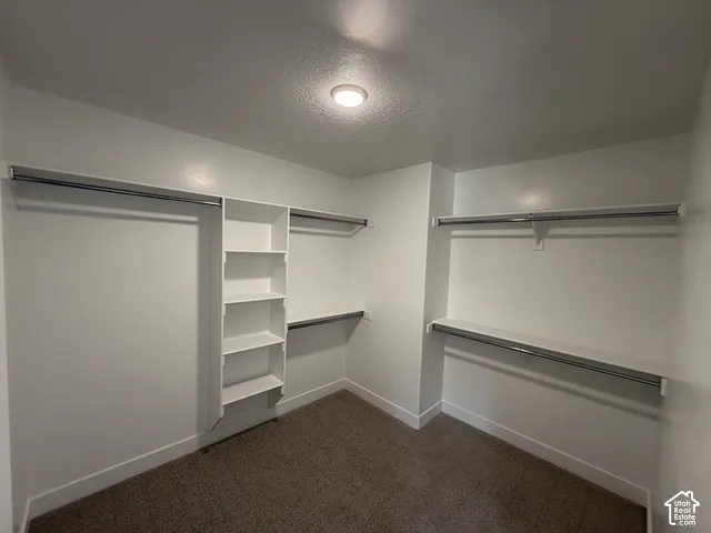 Walk-in closet with built-in shelving, multiple hanging rods, and recessed lighting