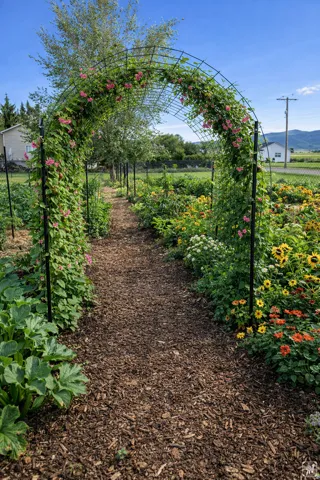 View of yard featuring a garden and a view of countryside