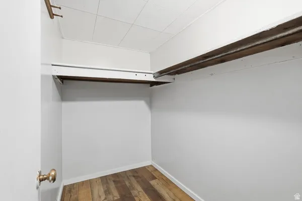 Walk in closet featuring dark wood-type flooring