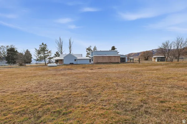 View of grassy yard