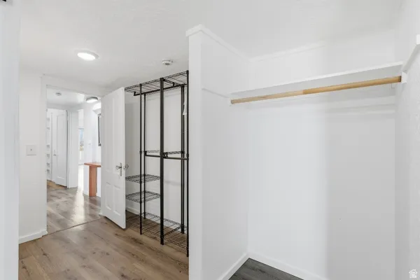 Walk in closet with dark wood finished floors