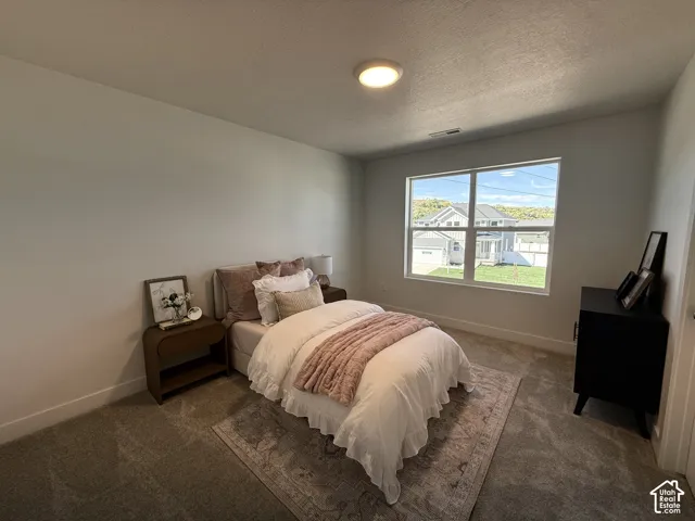 Neutral wall paint, carpeted flooring, large window, and ceiling-mounted light fixture