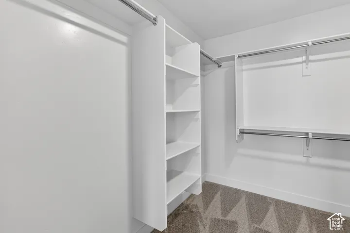 Walk in closet with light carpet