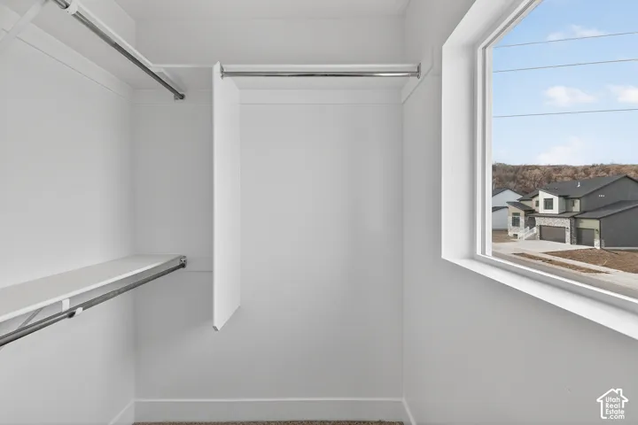 Walk in closet with carpet floors