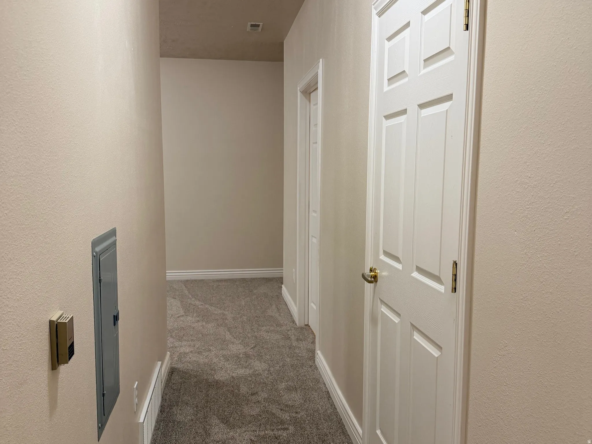 The primary bedroom hallway leads to a walk-in closet and the bedroom