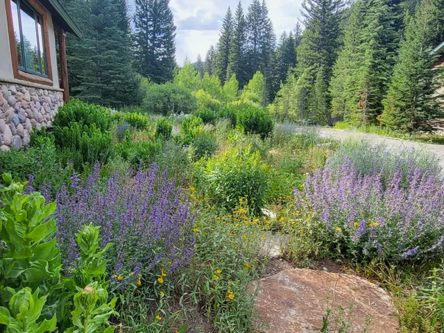 Lush landscaping featuring purple flowering plants, green shrubs, and mature evergreen trees