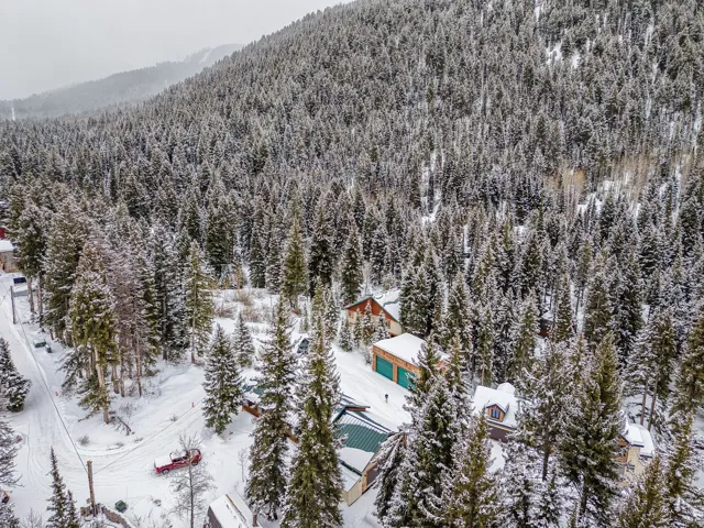Bird's eye view of a heavily wooded area