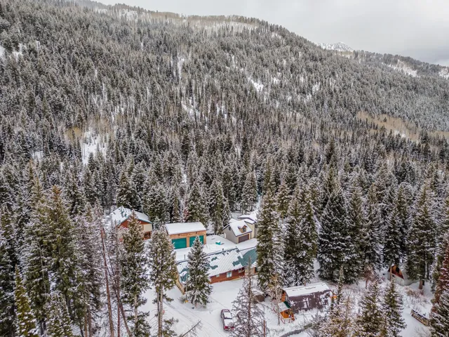 Drone / aerial view of a heavily wooded area