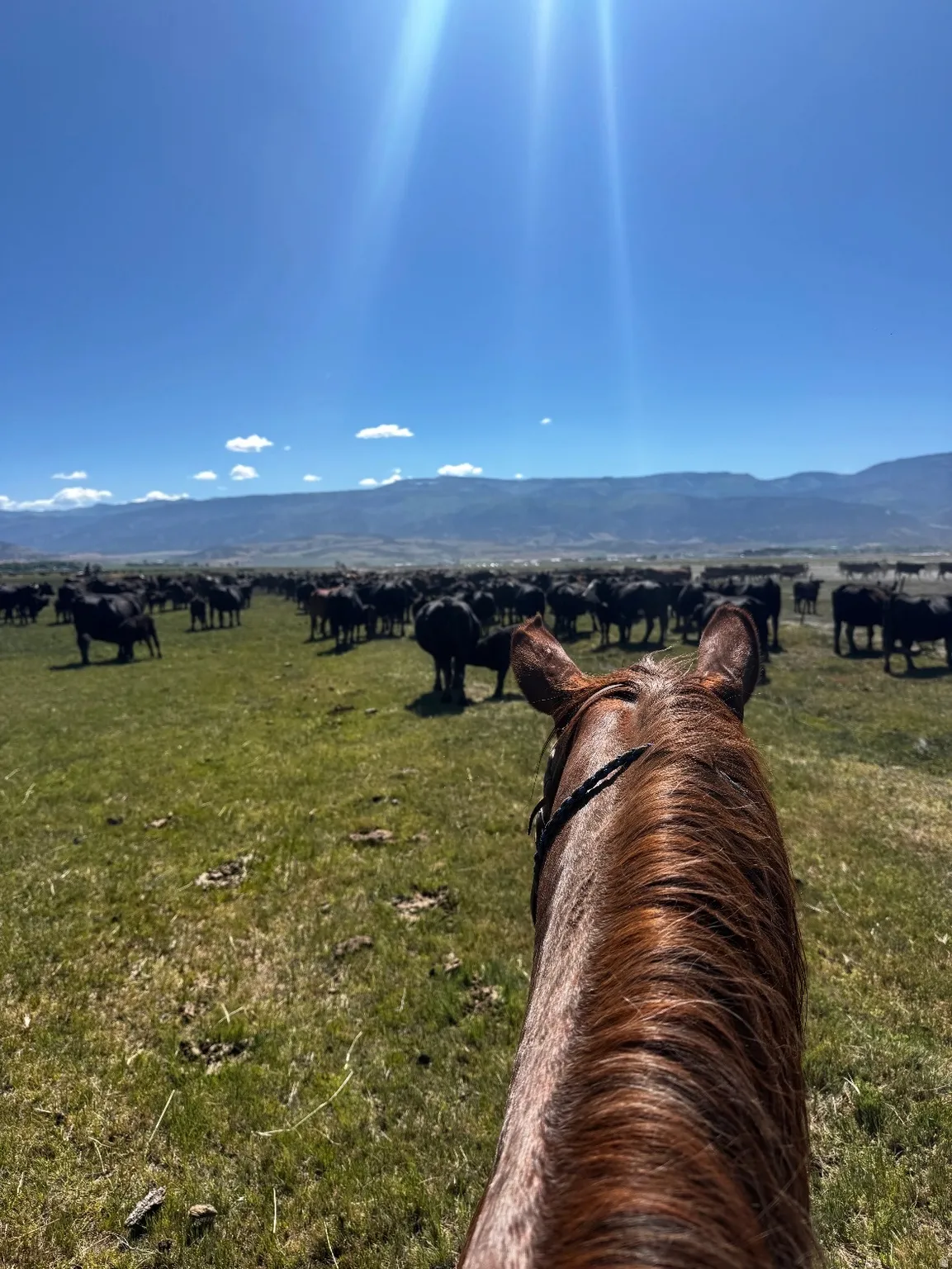 View of mountain backdrop featuring agricultural land and rural landscape