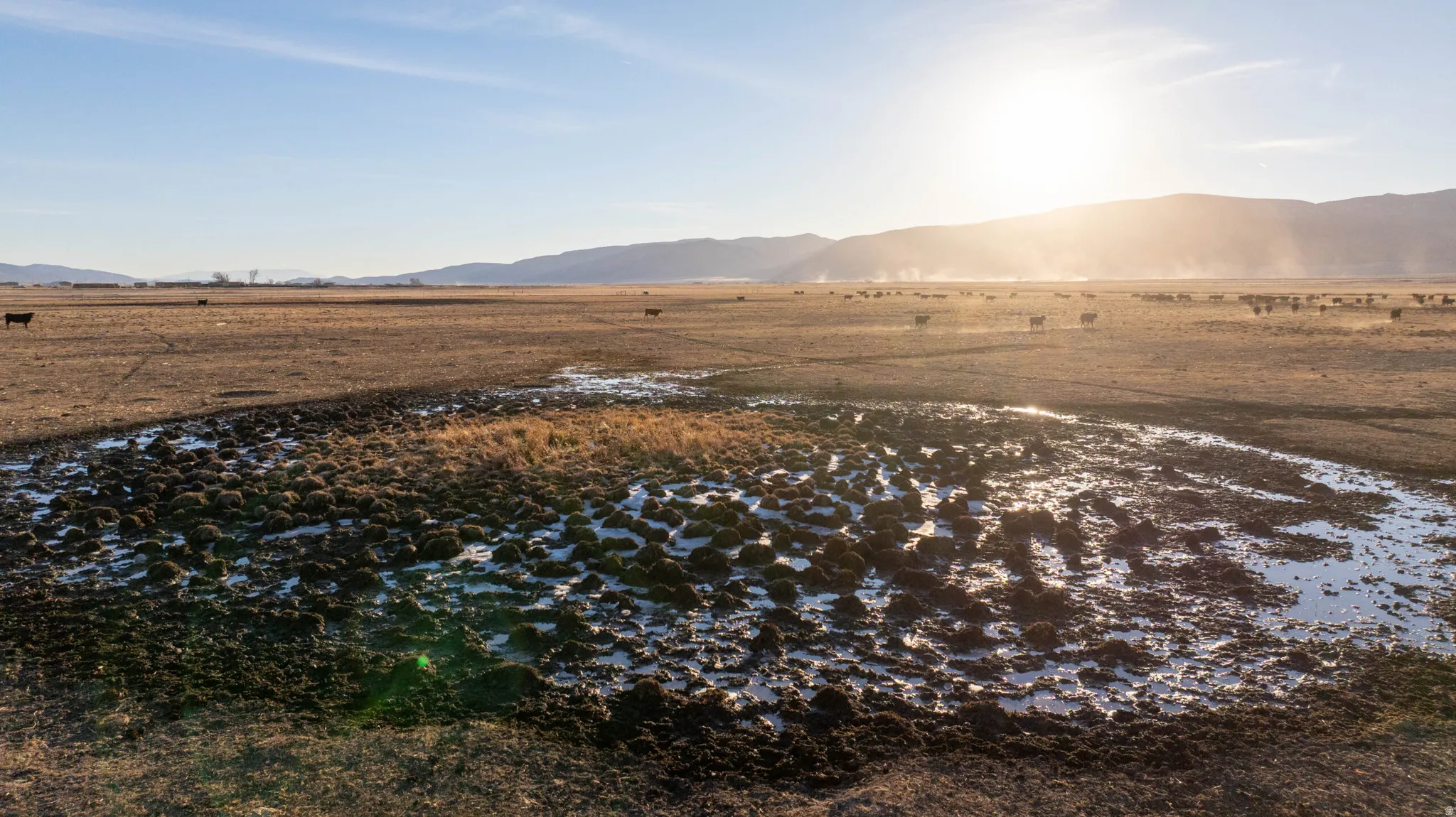 Mountain view with rural landscape