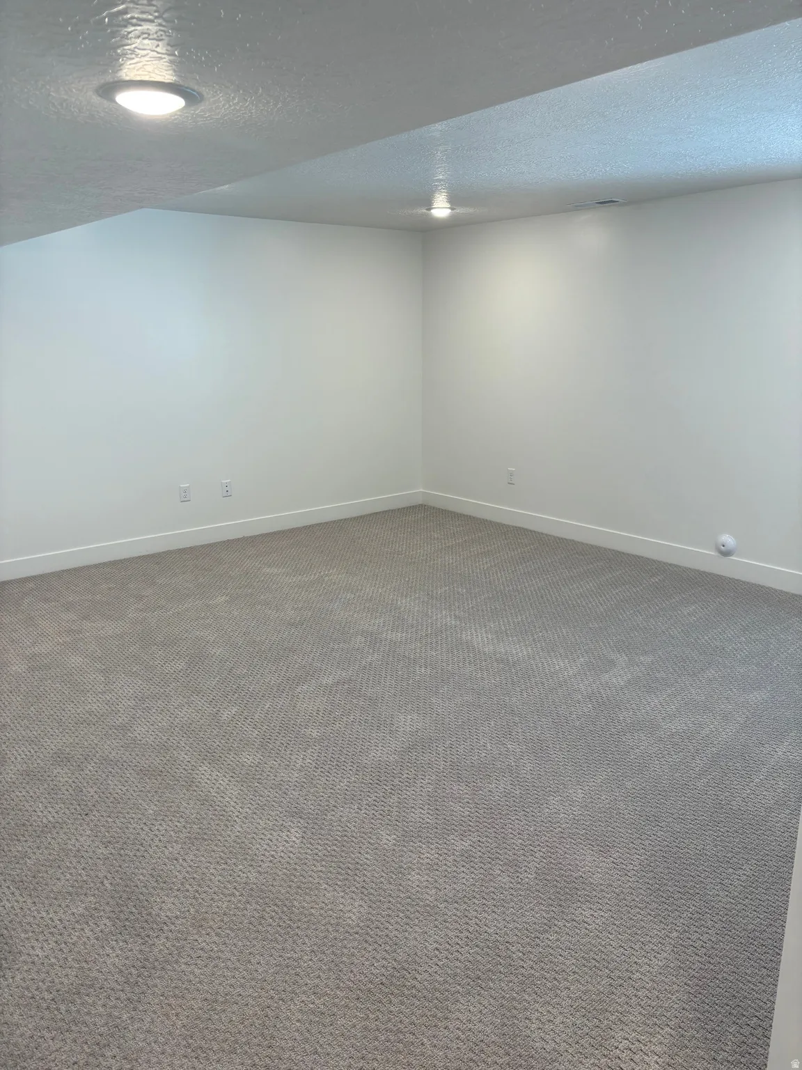 Finished basement featuring a textured ceiling and carpet