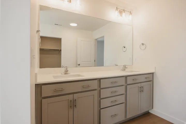 Bathroom featuring double vanity, light wood-type flooring, and a walk in closet