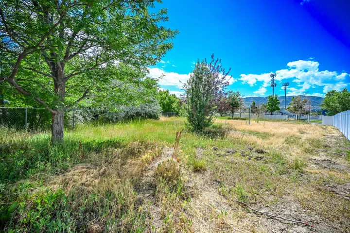 View of yard with a mountain view