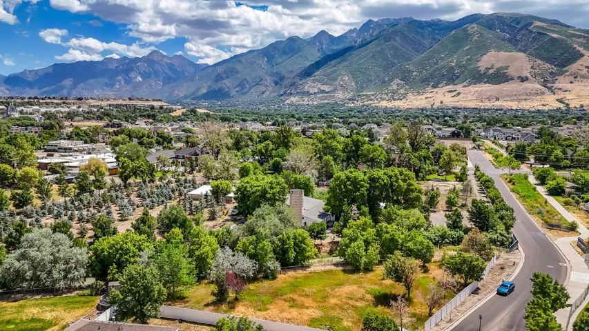 View of mountain background