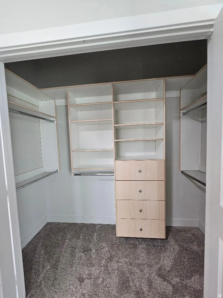 Walk in closet with dark colored carpet