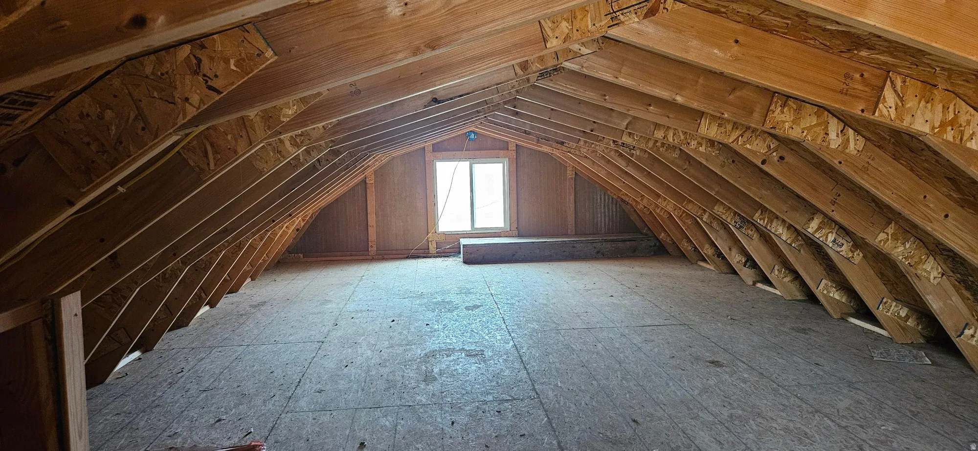 View of unfinished attic