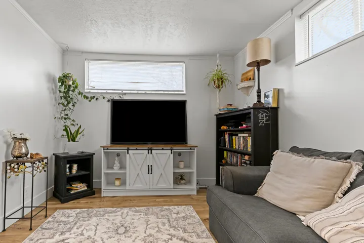 Living area featuring light wood finished floors, ornamental molding, and a textured ceiling