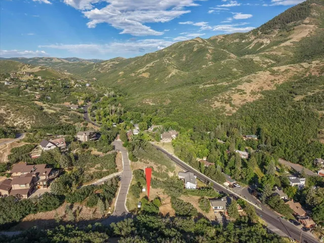 Elevated mountainside lot featuring a paved private drive and established surrounding foliage
