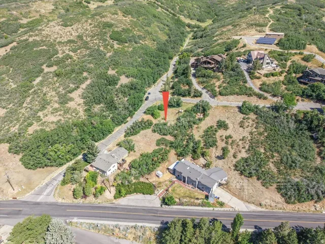 Sloping terrain with mature vegetation, featuring a paved road and accessible building sites