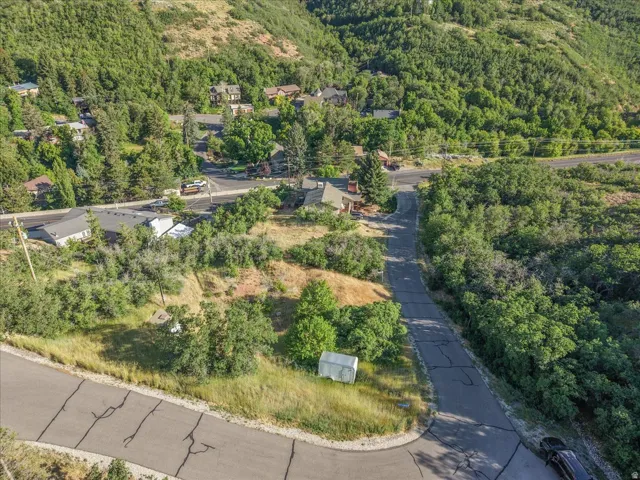 Aerial view of a residential area featuring mature trees and varied topography