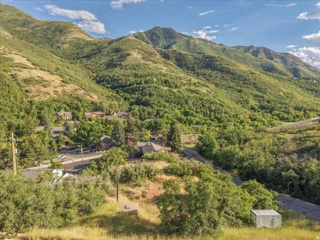 Expansive mountain setting featuring diverse tree coverage and multiple distant residential structures