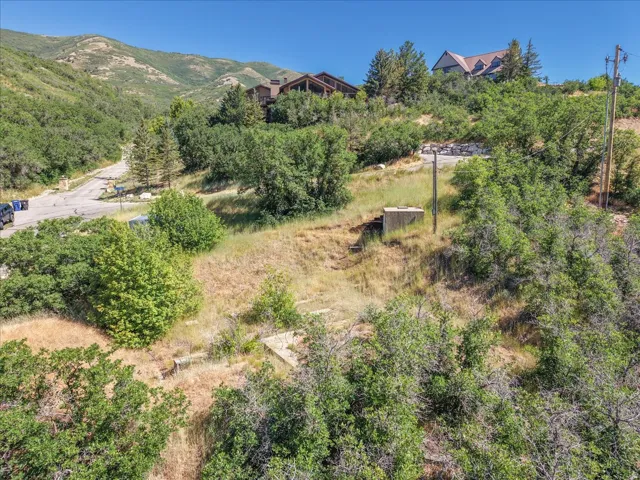 Sloping terrain featuring natural vegetation and distant mountainous backdrop